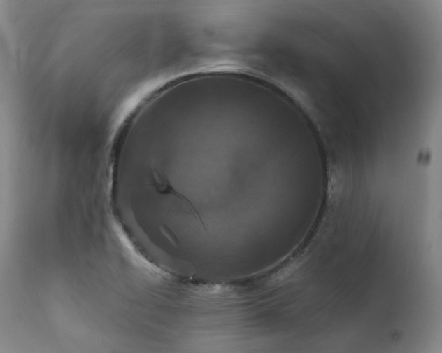 X0000112021414200908031346