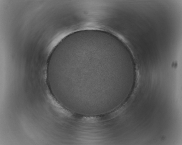 X0000112021415200908031346