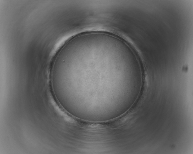 X0000112021416200908031346