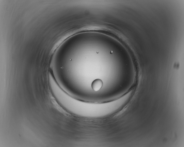 X0000112021417200908031346