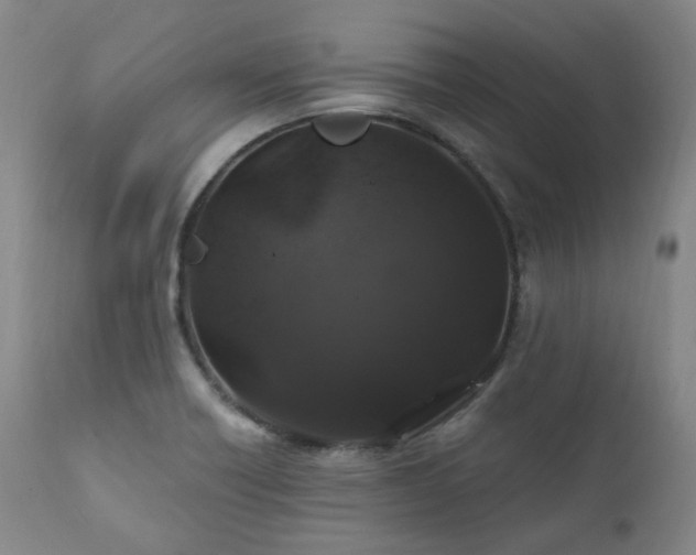 X0000112021418200908031346