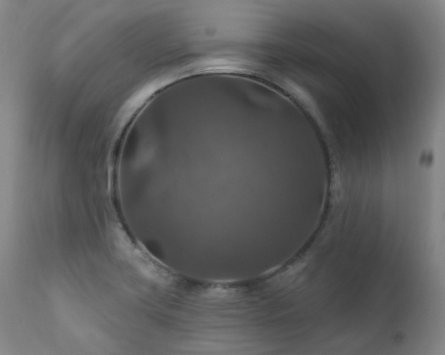 X0000112021419200908031346