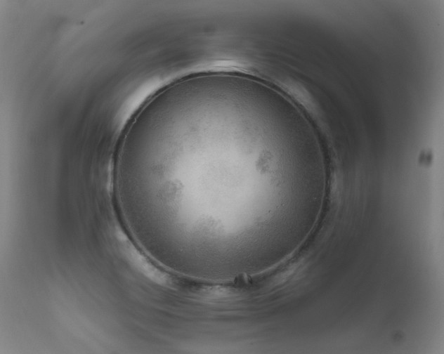 X0000112021420200908031346