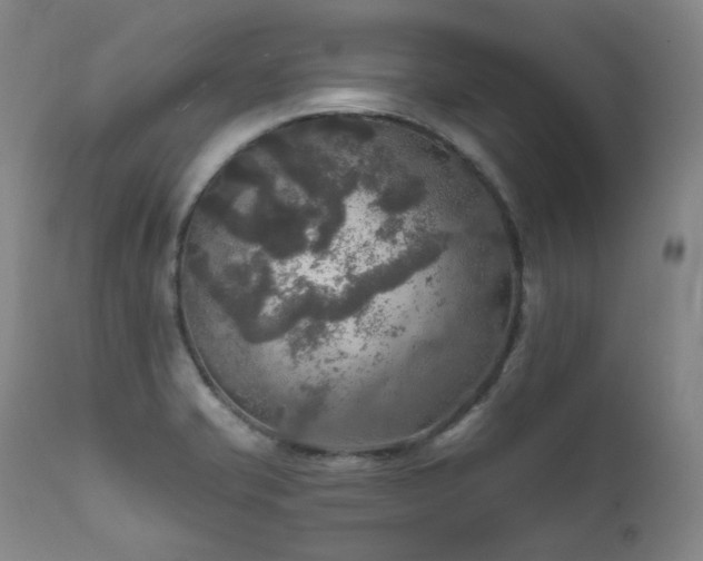 X0000112021421200908031346