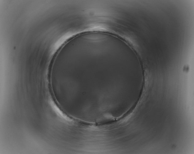 X0000112021422200908031346