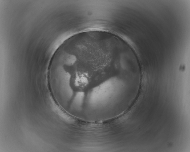 X0000112021423200908031346