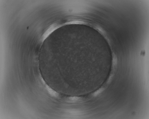 X0000112021425200908031346