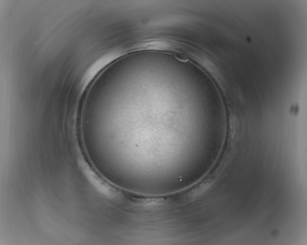 X0000112021426200908031346