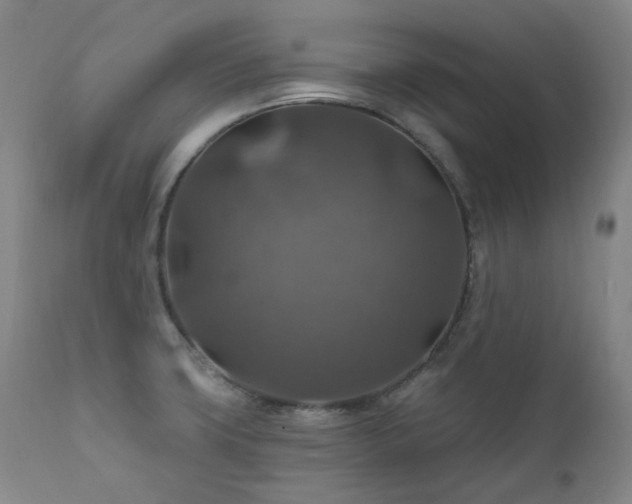 X0000112021427200908031346