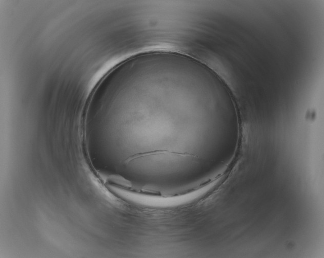 X0000112021428200908031346