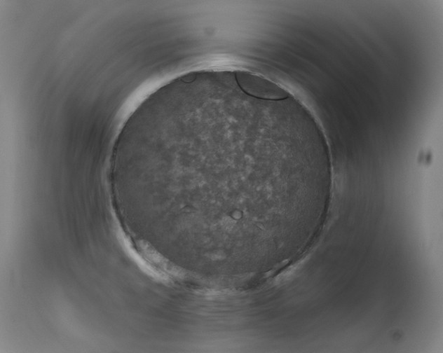 X0000112021429200908031346