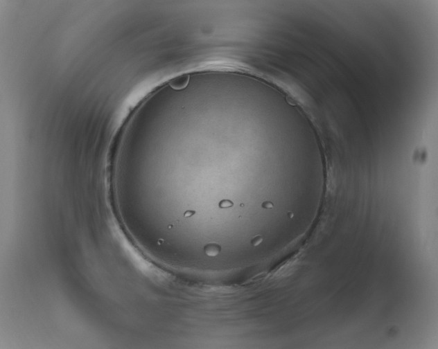 X0000112021430200908031346