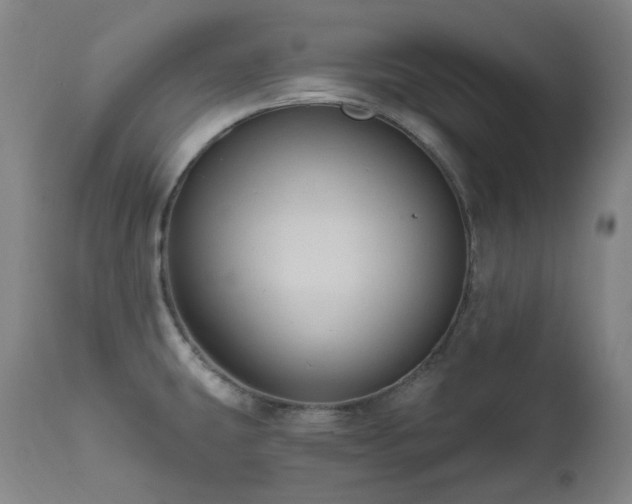 X0000112021431200908031346