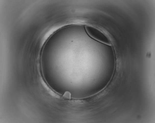 X0000112021432200908031346