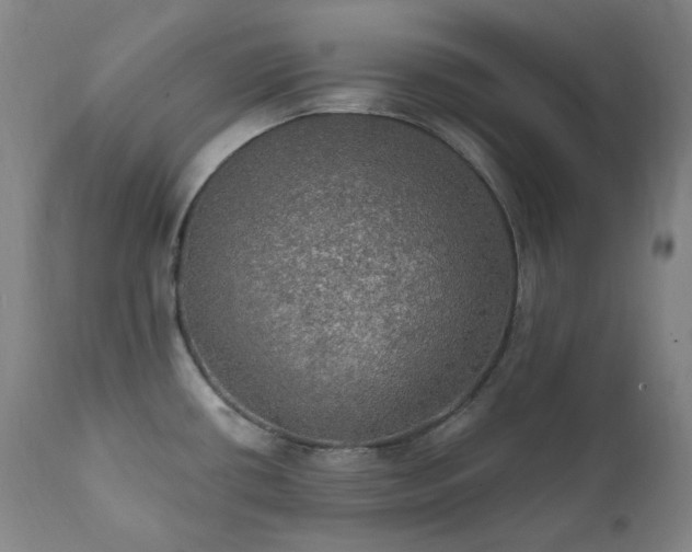 X0000112021434200908031346