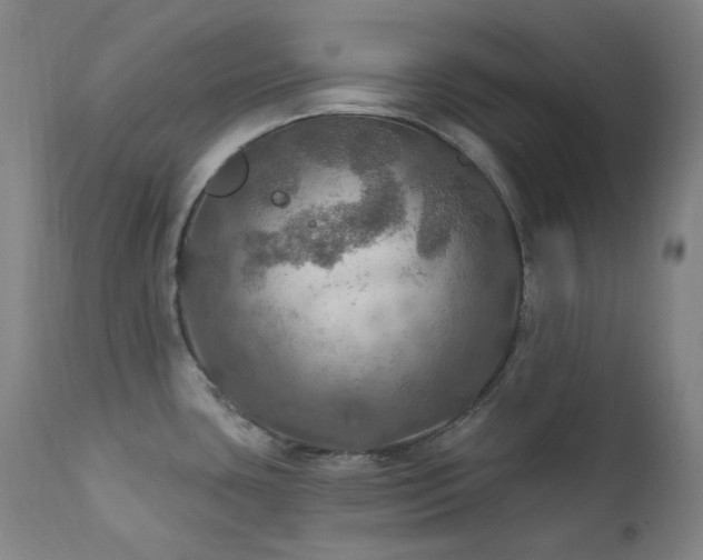 X0000112021435200908031346