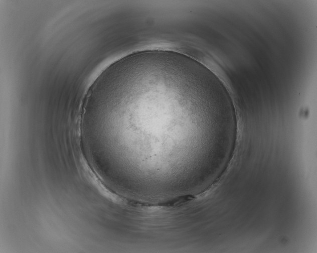 X0000112021436200908031346