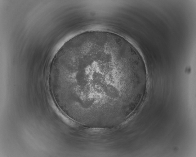 X0000112021437200908031346