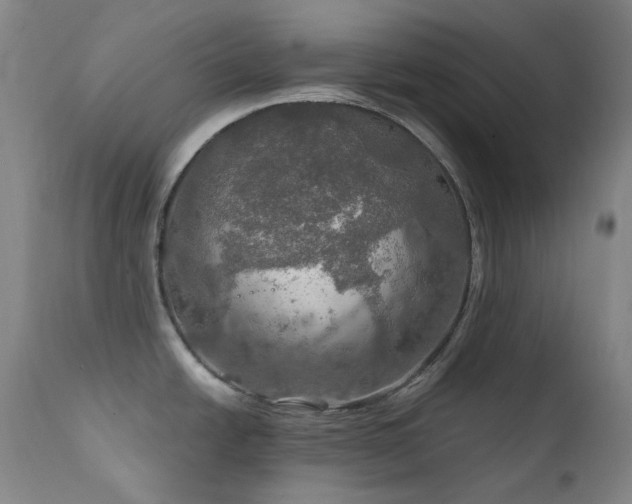 X0000112021438200908031346