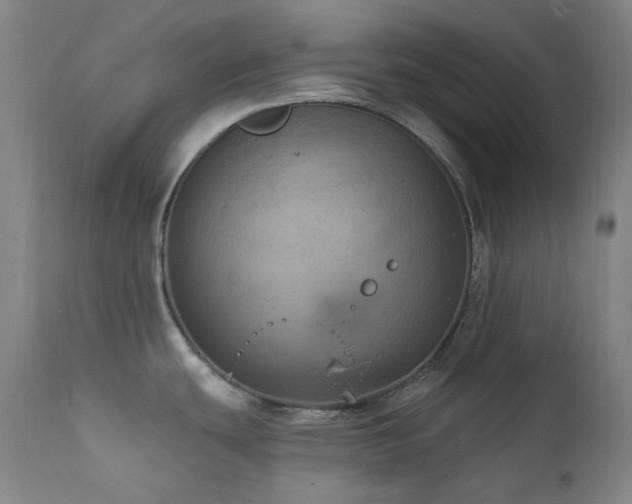 X0000112021439200908031346