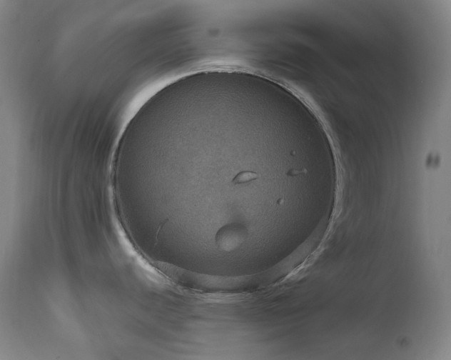 X0000112021440200908031346