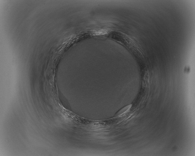 X0000112021441200908031346