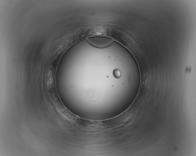 X0000112021442200908031346