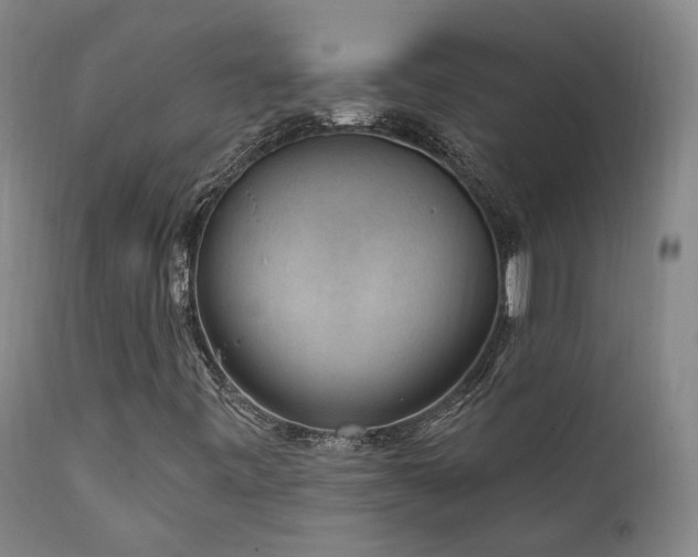 X0000112021443200908031346