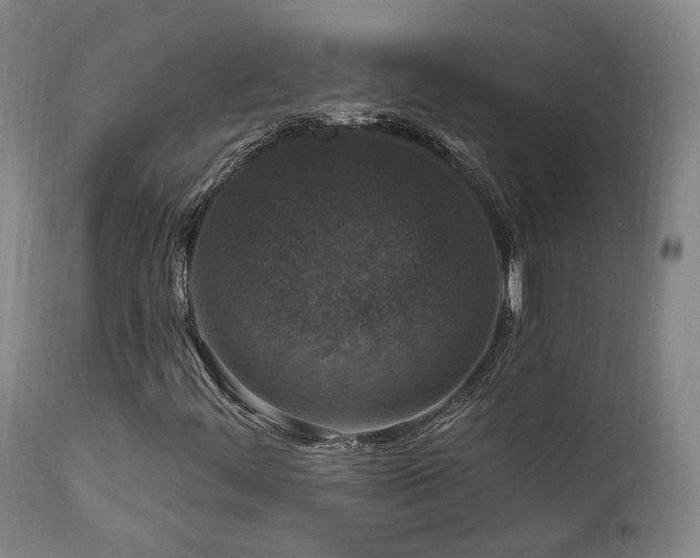 X0000112021444200908031346