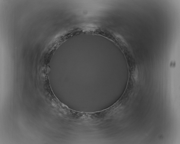 X0000112021445200908031345