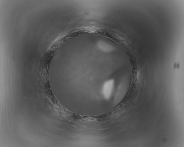 X0000112021446200908031345