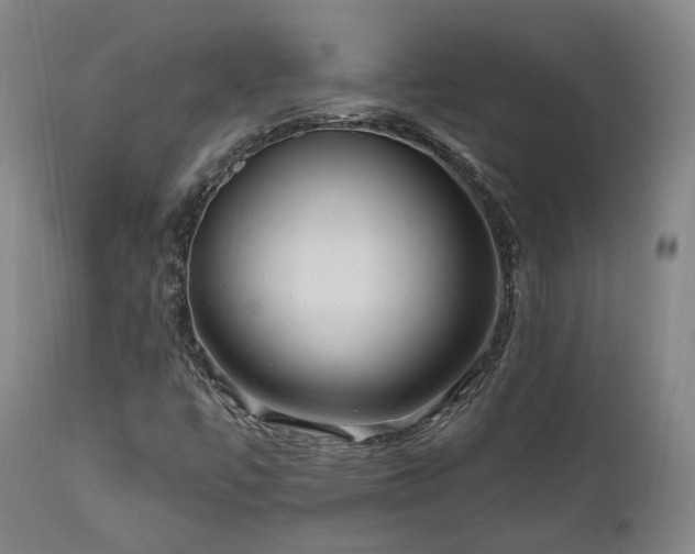 X0000112021447200908031345