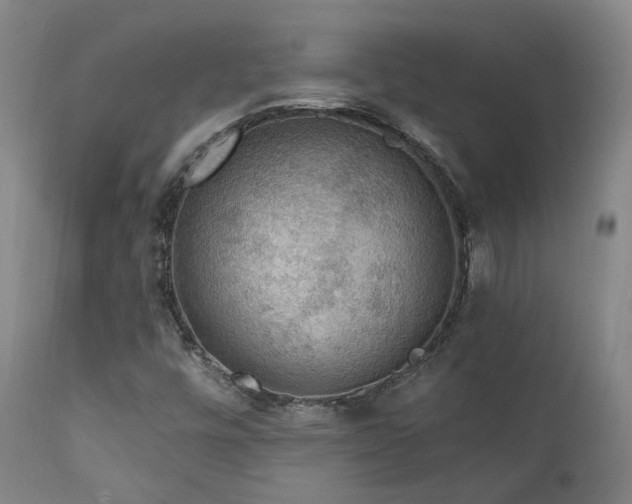 X0000112021448200908031345