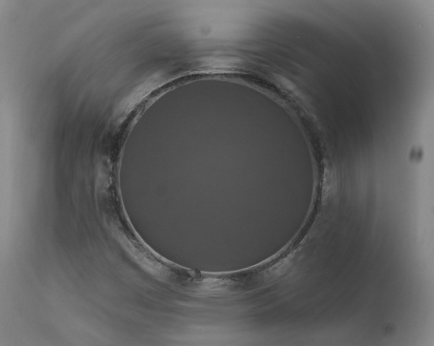 X0000112021449200908031345