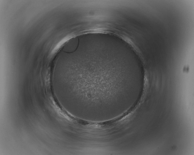 X0000112021450200908031345