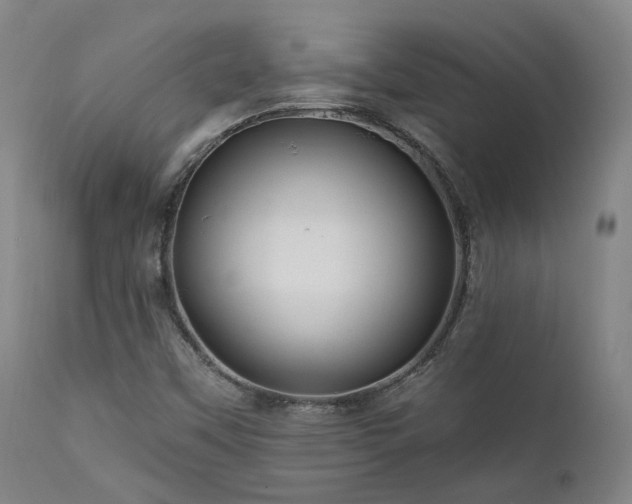 X0000112021451200908031345