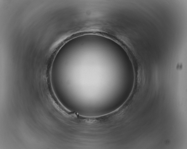 X0000112021452200908031345