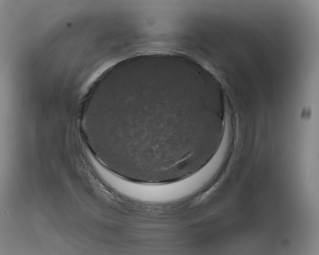 X0000112021453200908031345