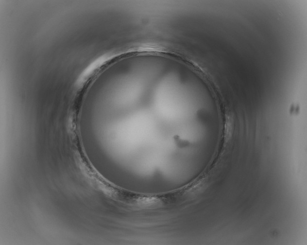 X0000112021454200908031345