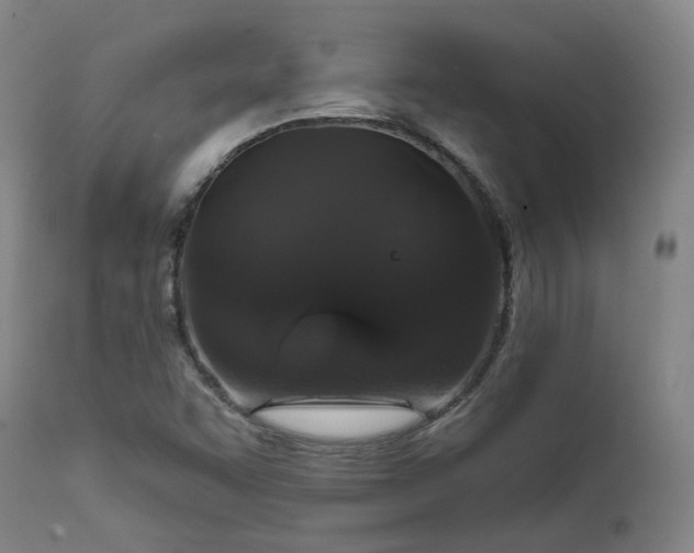 X0000112021455200908031345