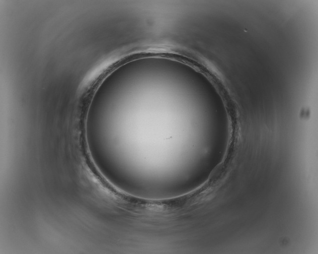 X0000112021456200908031345