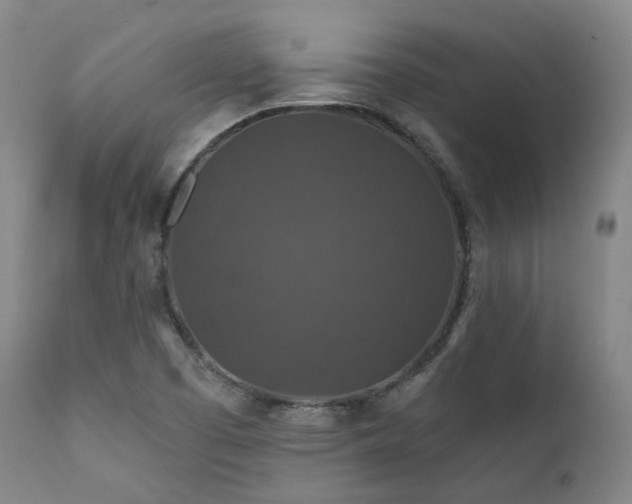 X0000112021457200908031345