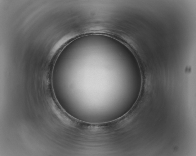 X0000112021458200908031345