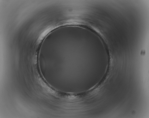 X0000112021459200908031345