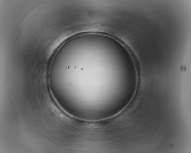 X0000112021460200908031345