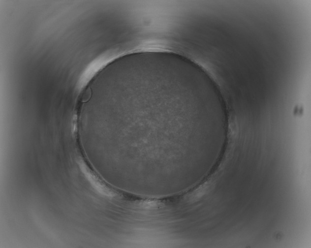 X0000112021461200908031345