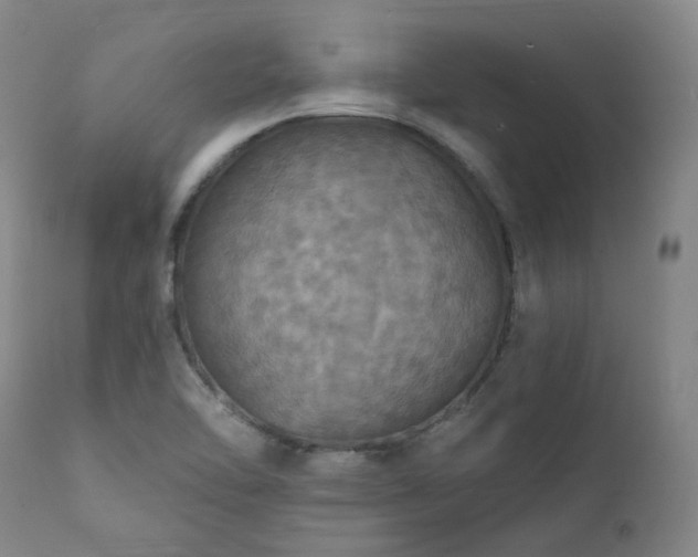 X0000112021462200908031345