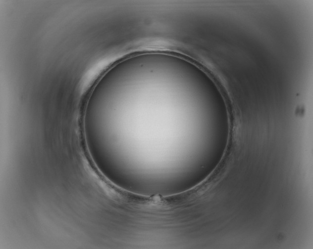 X0000112021464200908031345