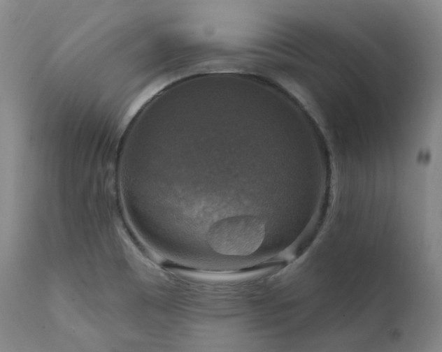 X0000112021465200908031345