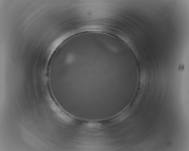 X0000112021466200908031345